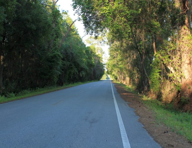 Scenic Backroad Florida