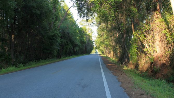 Scenic Backroad Florida