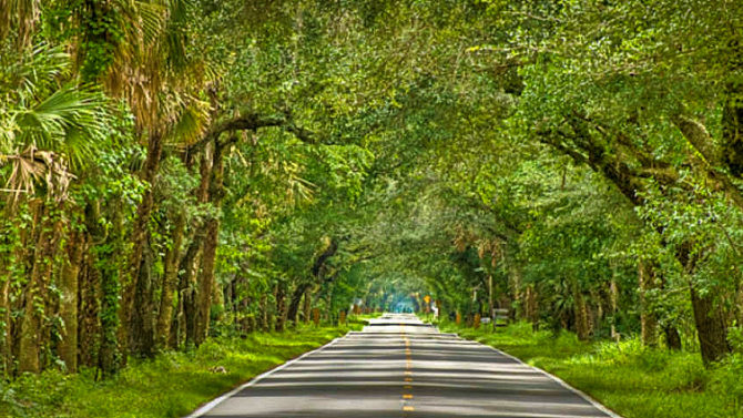 SW Martin Highway Florida Scenic Ride